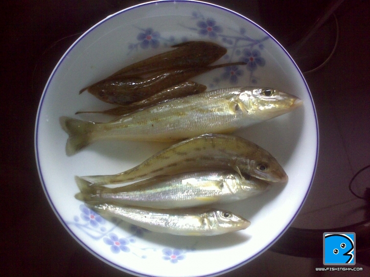 20110821458.jpg