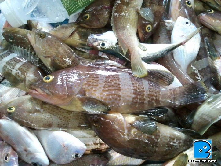 2011-08-13 16.20.44.jpg