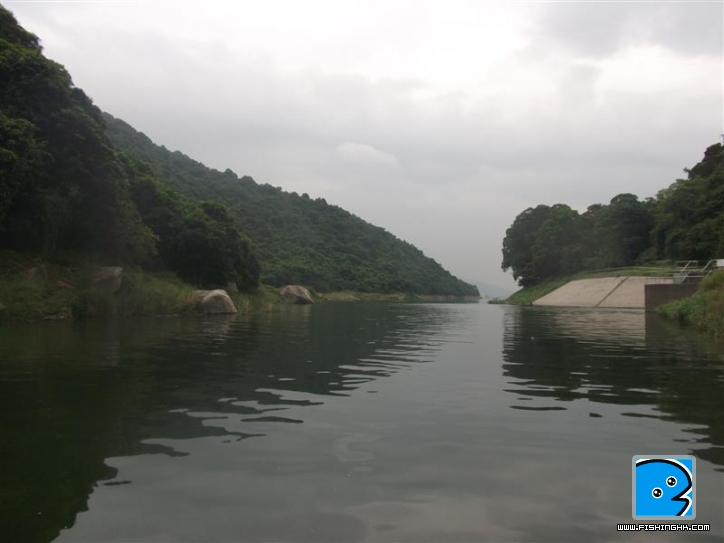 Picture 008 (Medium).jpg