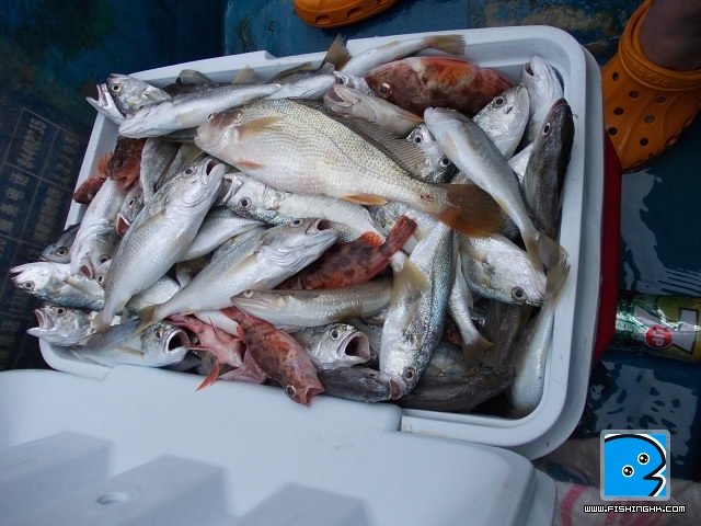 20110902_b444ddb67211835666bfMWilip9XGjma.jpg