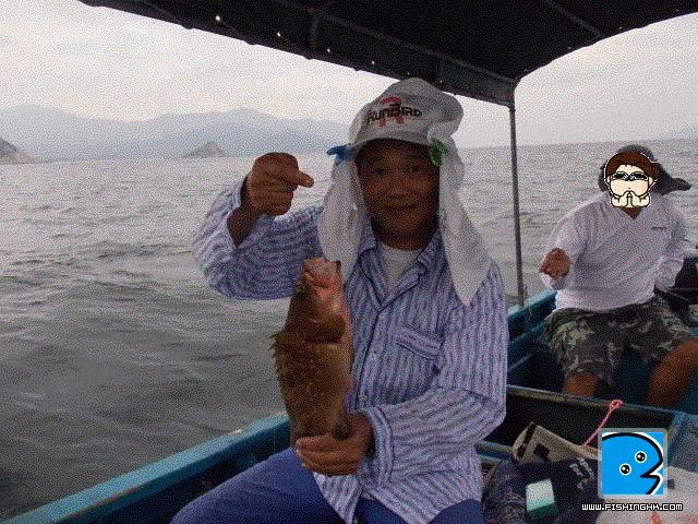 20110902_2a4fc963f89b190deeb7nMruZDab0v00.jpg