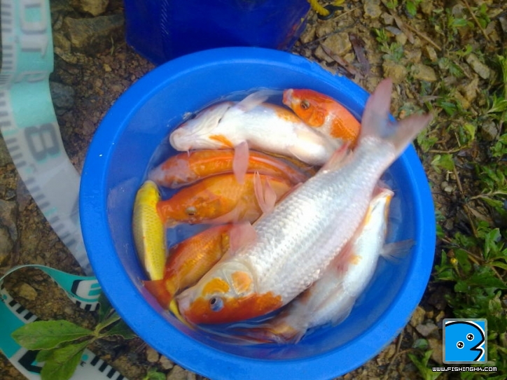 爆釣沒有假如 (3).JPG