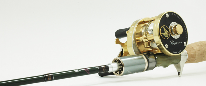 P300_sub[1].jpg