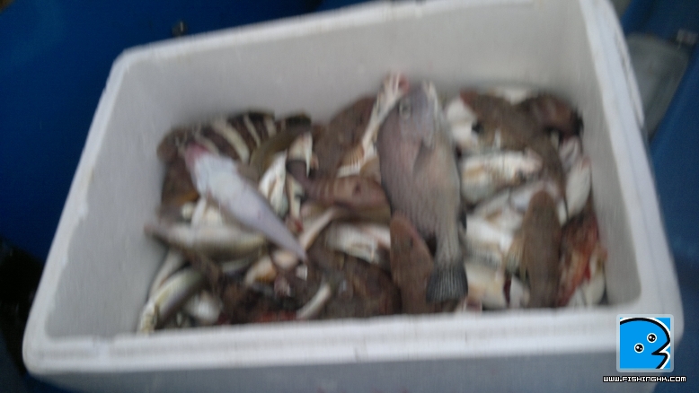 09092011036.jpg