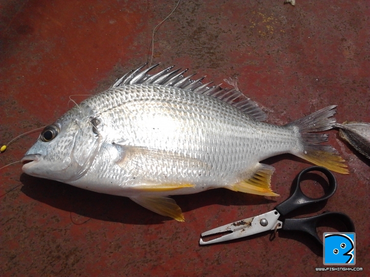 2011-09-11 14.25.27.jpg