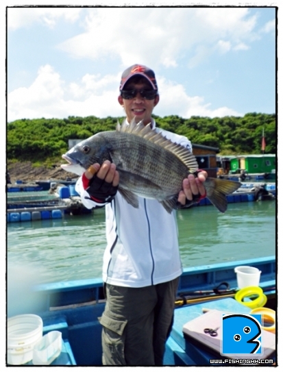 aIMGP0214.JPG