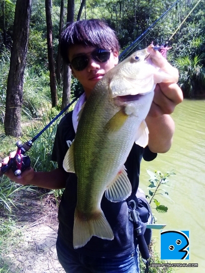 20110918036.jpg