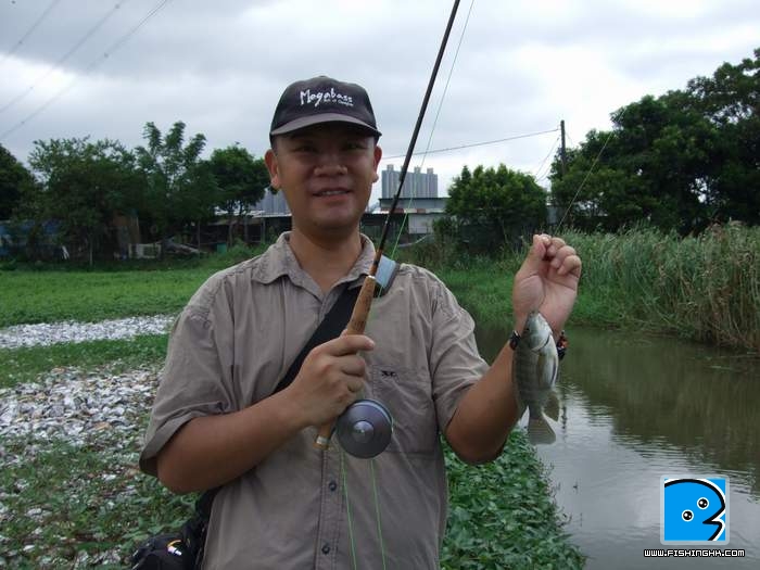 DSCF2954.JPG