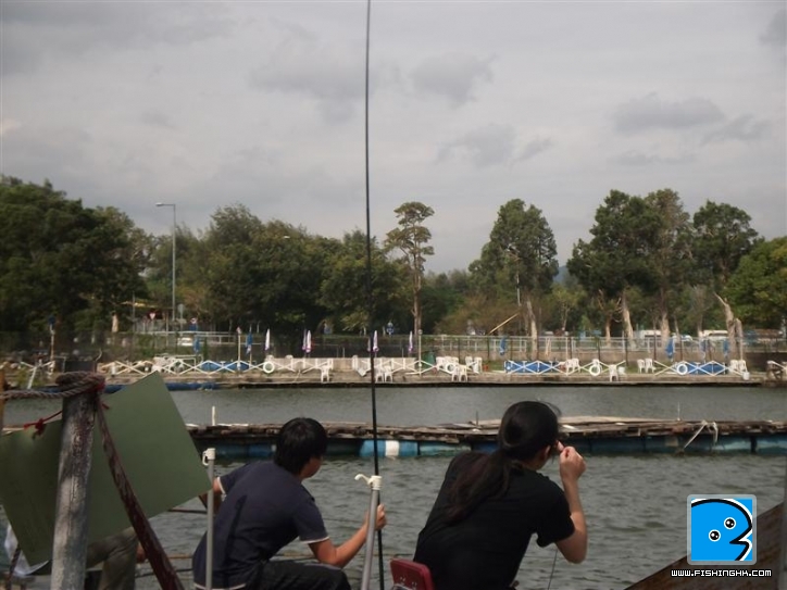 Picture 001 (Medium).jpg