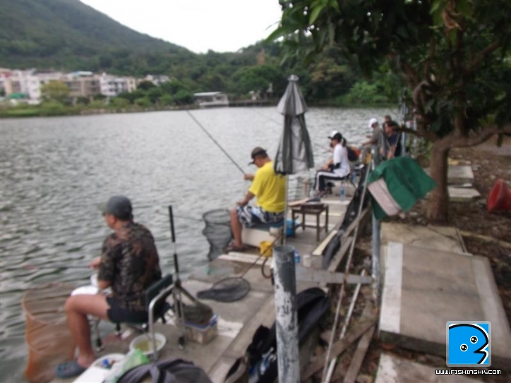 Picture 015 (Medium).jpg