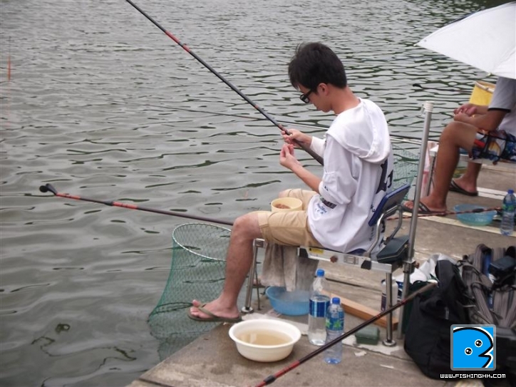 Picture 027 (Medium).jpg