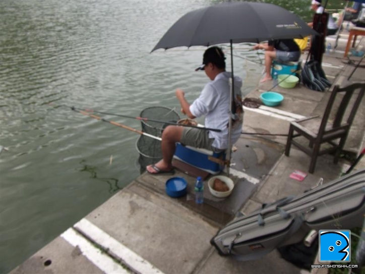 Picture 032 (Medium).jpg