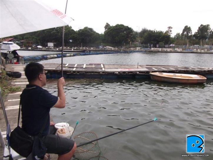 Picture 037 (Medium).jpg