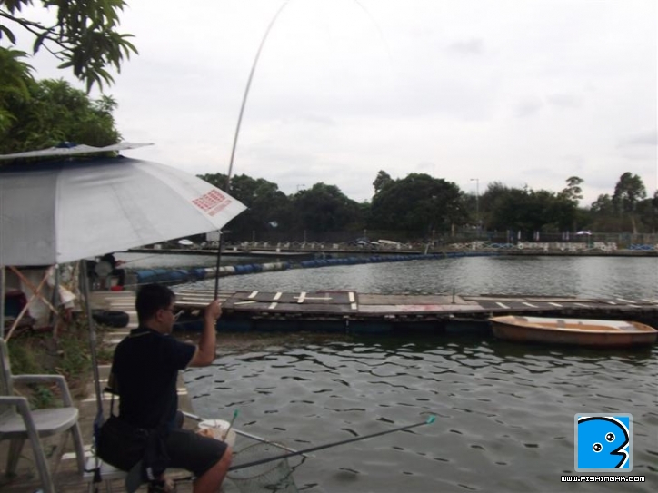 Picture 041 (Medium).jpg