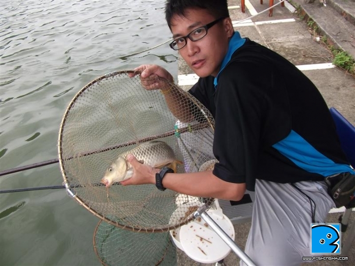 Picture 043 (Medium).jpg