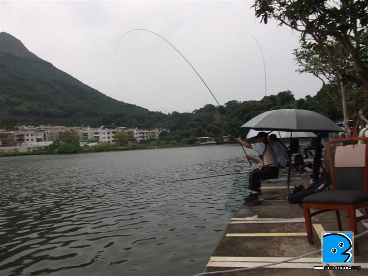 Picture 044 (Medium).jpg