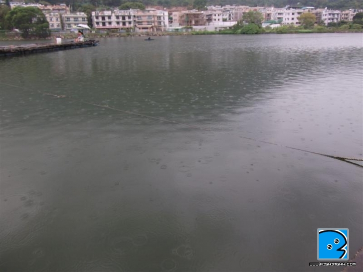 Picture 054 (Medium).jpg