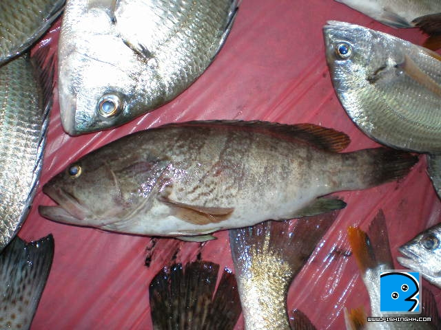 PA010189.JPG