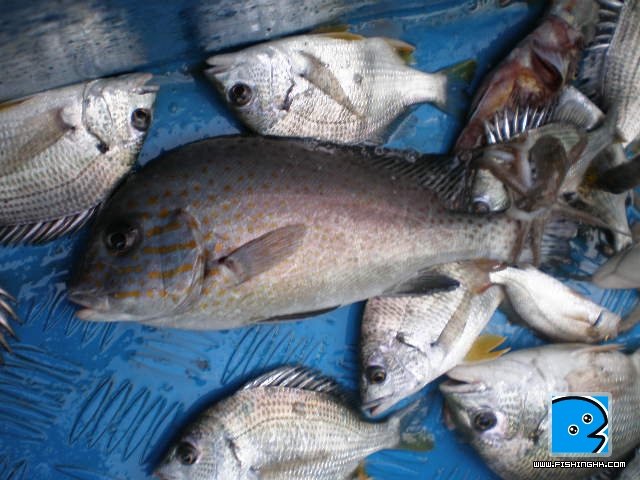 PA010180.JPG