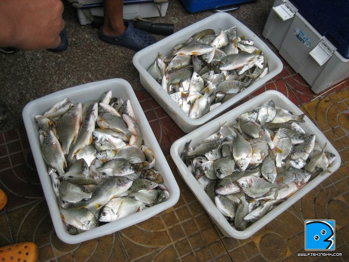 大合照.jpg