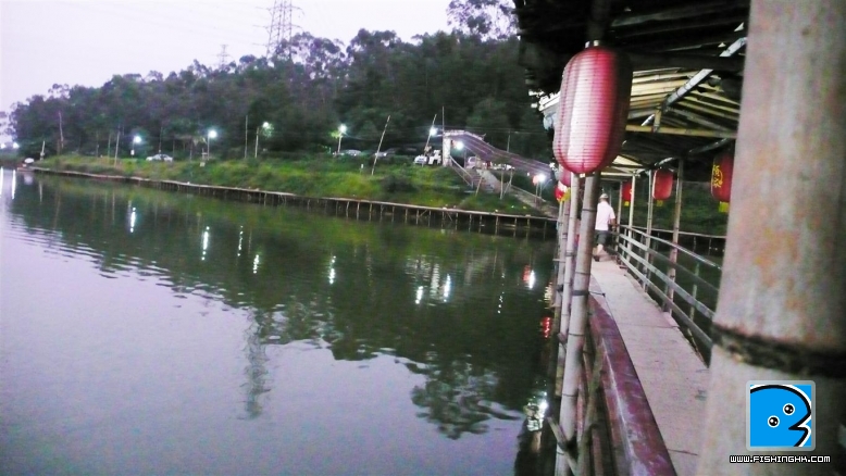 P1100445.JPG