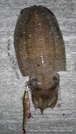 20111016195.jpg