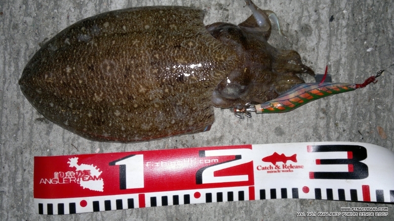 20111016196.jpg