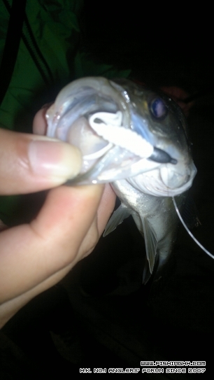 20111016201.jpg