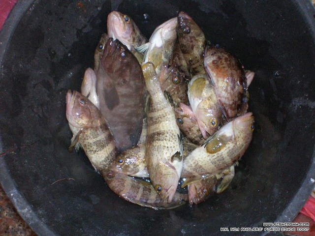 PA170030.JPG