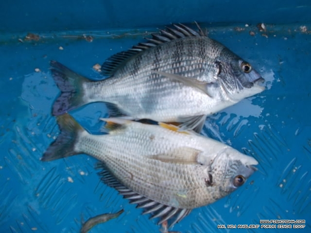20111018_96b2f7b30c7c8e0dd646YLURUUQ5fBsd.jpg