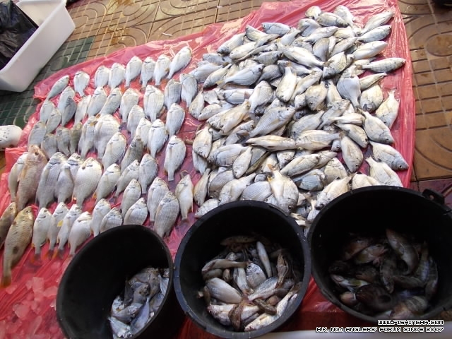 20111018_f876a04529d03fa12ae8ihL4tPhnlN8C.jpg