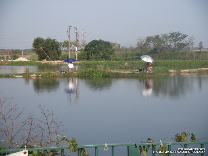 193.JPG