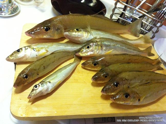 Whiting 2.jpeg