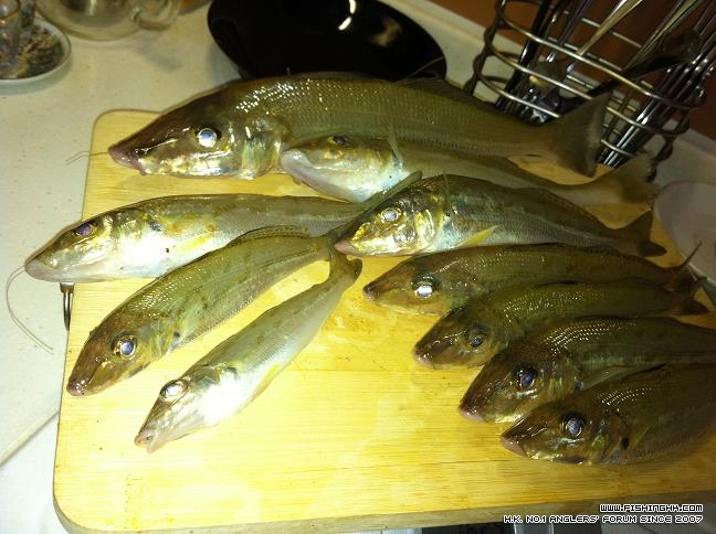 Whiting1.jpeg