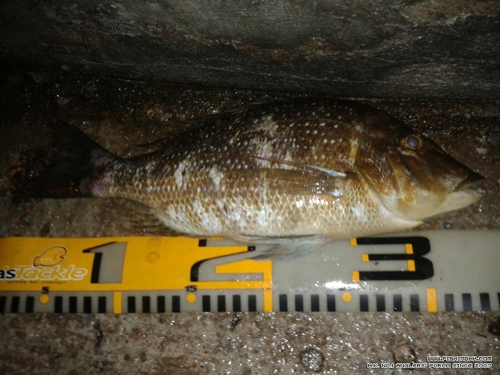 2011-09-18 21.51.26.jpg