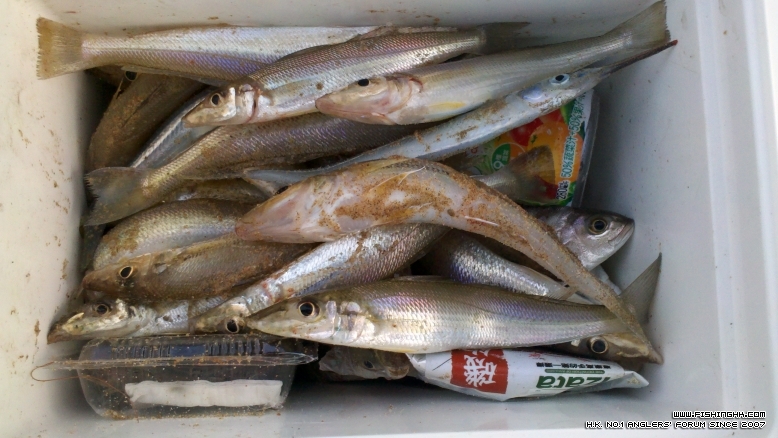 2011-11-19_17-19-05_468.jpg