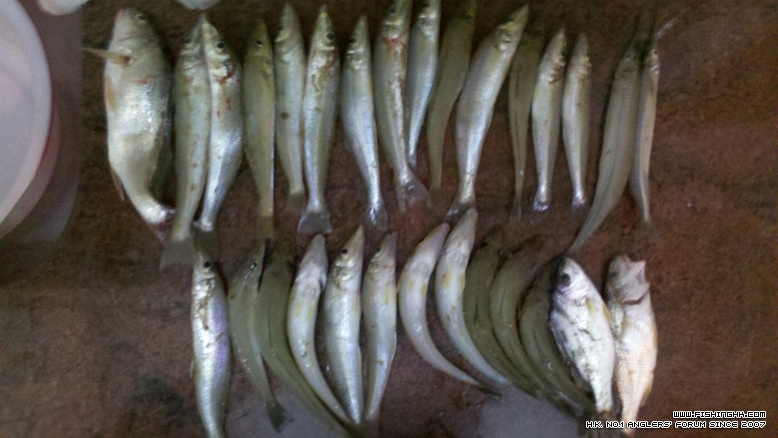 2011-11-19_19-41-47_297.jpg