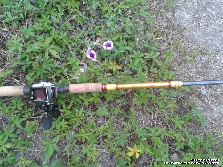 2011-11-21 16.43.47.jpg