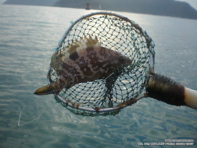 PB210057.JPG