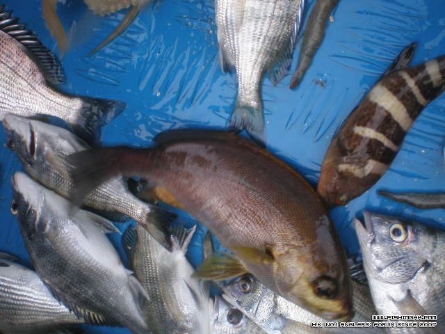 PB210059.JPG