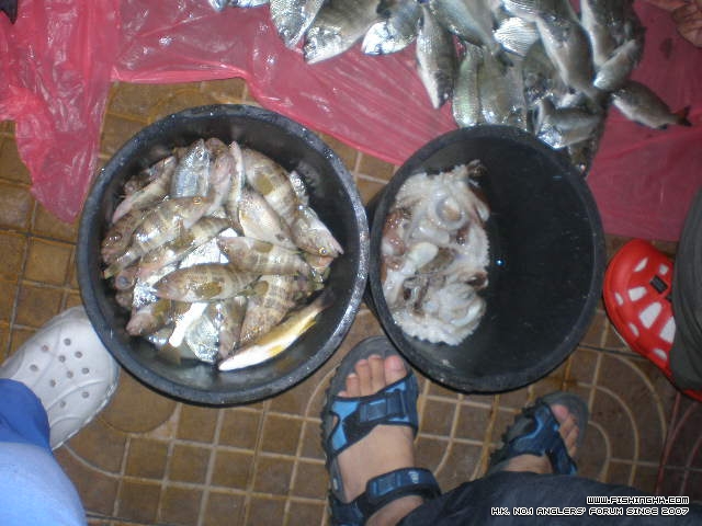 PB210076.JPG