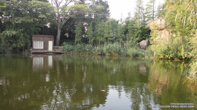 DSC02332.JPG