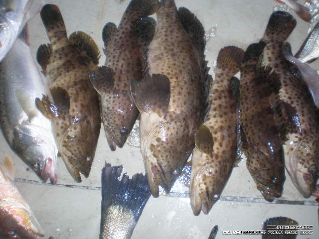 PC050119.JPG
