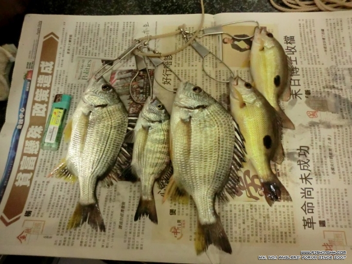 CIMG0299 (800x600).jpg