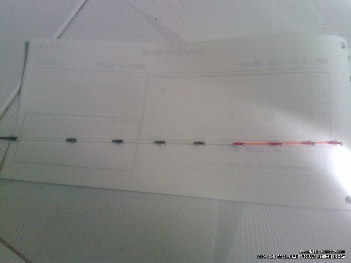 IMG345.jpg