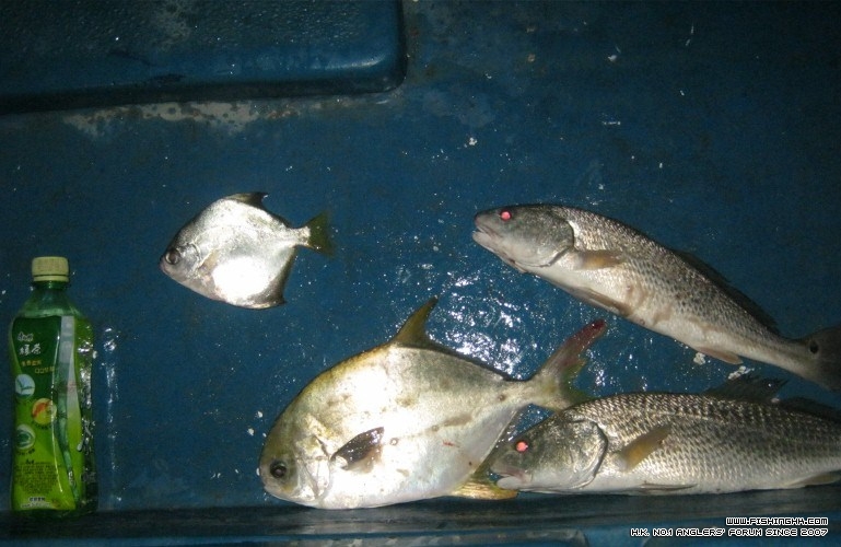 IMG_0238 (800x600).jpg