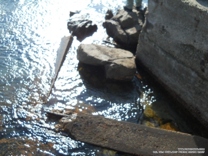 DSCN3078.JPG