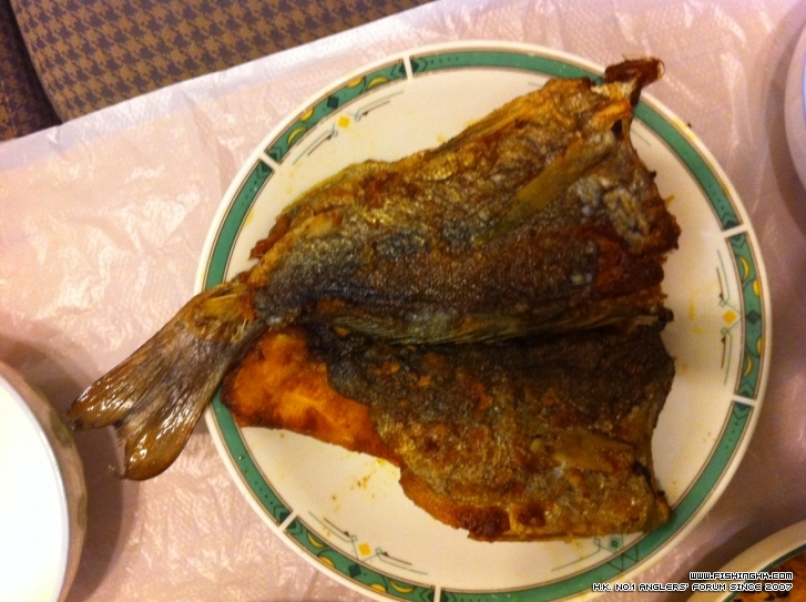 照片 2.JPG