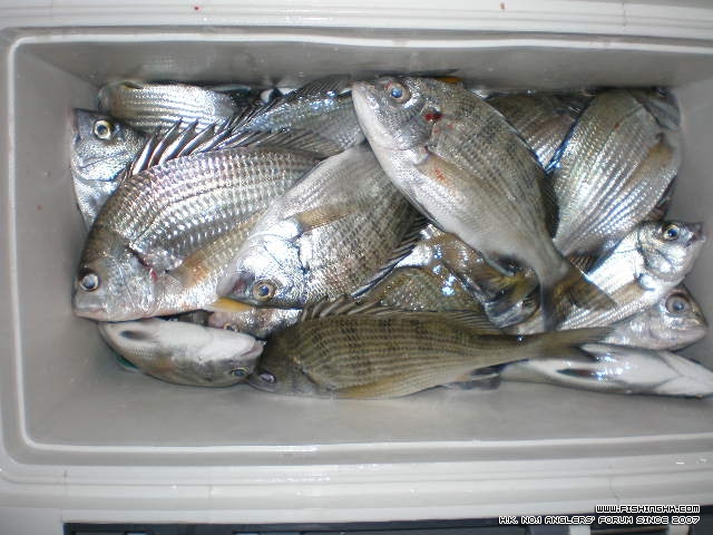 PC120014.JPG