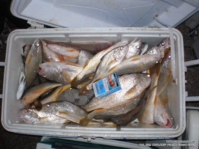 PC120012.JPG